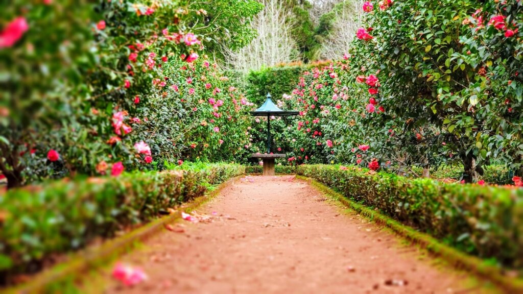 Jardin des Plantes de Rouen  Le Mini Rouennais